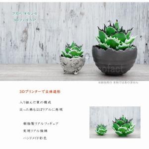 フェイクグリーン 3D フィギュア アガベ チ...の詳細画像1