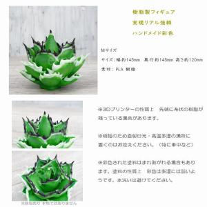 フェイクグリーン 3D フィギュア アガベ チ...の詳細画像2