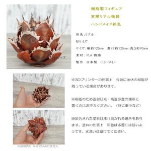 フェイクグリーン 3D フィギュア アガベ チ...の詳細画像2