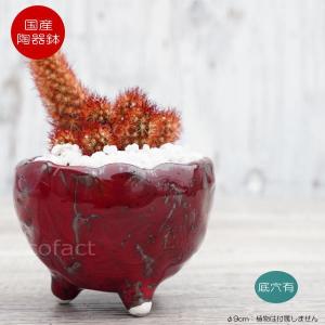 盆栽鉢 「広東色小鉢」 植木鉢 中国鉢 色小鉢 4号 11.5cm 小品盆栽