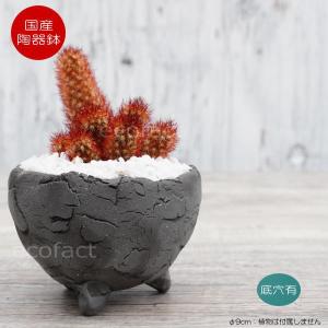 たけろうポット 赤 2023冬限定 未使用 Φ11cm 作家鉢 塊根植物 陶器鉢 植木鉢 ミニポット 皿付 パインコーンブラウン φ12cm（15cm