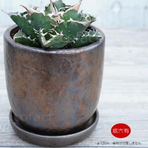 陶器鉢 植木鉢 ミニポット 皿付  ソルポットS ブロンズ  φ12cm  プランター 園芸鉢 観葉植物 アガベ サボテン 塊根植物 コーデックス 多肉植物｜area27