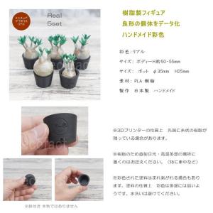 3D フィギュア ミニチュア 5セットリアル ...の詳細画像2