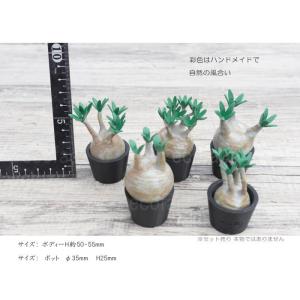3D フィギュア ミニチュア 5セットリアル ...の詳細画像5