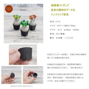 3D フィギュア ミニチュア 3セット カラー...の詳細画像2