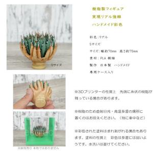 フェイクグリーン 3D フィギュア アガベ ユ...の詳細画像2