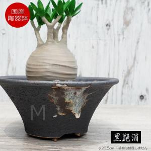 植木鉢【禄巳斉春松】手作り切立長角盆栽鉢(イブシ）13号 : ヤマコー