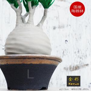 Disney（ディズニー） フラワーポット ミッキーポット （ ガーデン