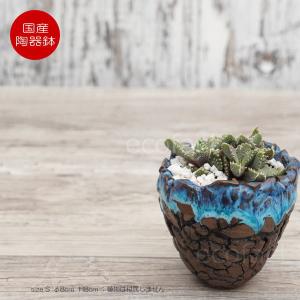 かべべ様の口径17.5cm植木鉢多肉塊根観葉植物ハンドメイド陶器陶芸 ヨコヤマ コーデックスアートギャラリー＜TOP＞ ～アガベ・塊根