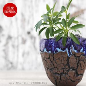 陶器鉢 植木鉢 底穴あり アース 茶 M φ9cm 日本製 園芸鉢 観葉植物