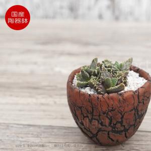 陶器鉢 植木鉢 底穴ありフォレスト（緑）白黒S φ8cm 日本製 園芸鉢