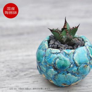 陶器鉢 植木鉢 底穴あり 丸型 オーシャン（ブルー） M H8cm 日本製