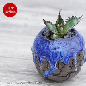 植木鉢多肉塊根観葉植物ハンドメイド陶器陶芸 植木鉢 陶器鉢 鉢 おしゃれ 多肉植物 塊根植物 観葉植物 - メルカリ