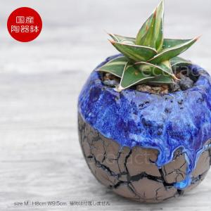 かべべ様の口径17.5cm植木鉢多肉塊根観葉植物ハンドメイド陶器陶芸 楽天市場】植木鉢 おしゃれ アンティーク 陶器鉢 アラベスクS