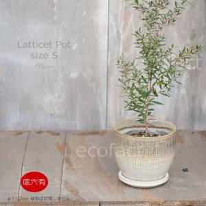 植木鉢 おしゃれ 大型 プランター 観葉植物 人気 おすすめ 園芸鉢 観葉