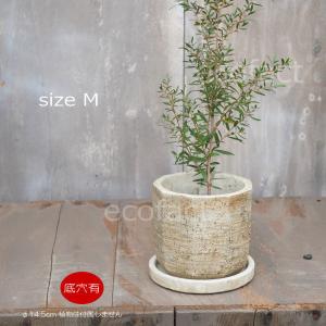 植木鉢 おしゃれ 陶器鉢 フラワーポット ミニポット 底穴あり ロック