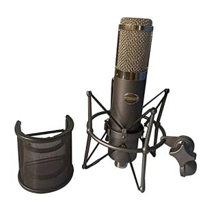 コンデンサー マイク コンピューター ライブ カラオケ マイク セット アンカー マイク ボーカル マイク