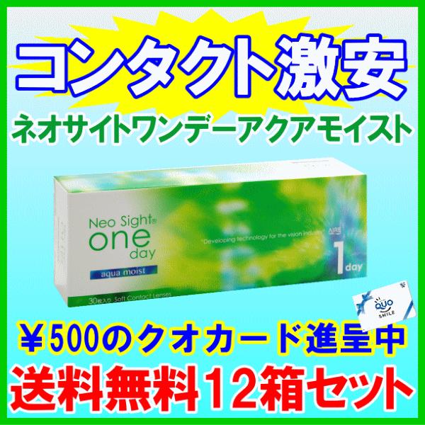 ネオサイトワンデーアクアモイスト アイレ aire コンタクトレンズ 6ヶ月分12箱セット 送料無料