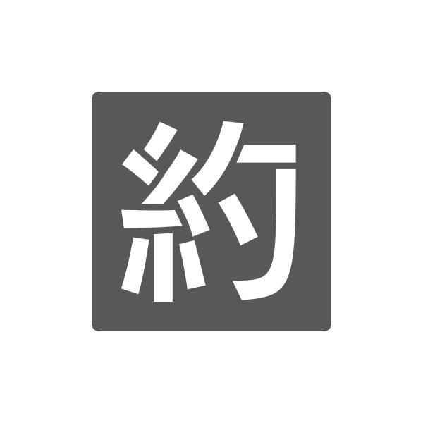 吹付けプレート　駐車場用文字　約　Lサイズ　文字高300mm　1枚　亜鉛鉄板0.6mm