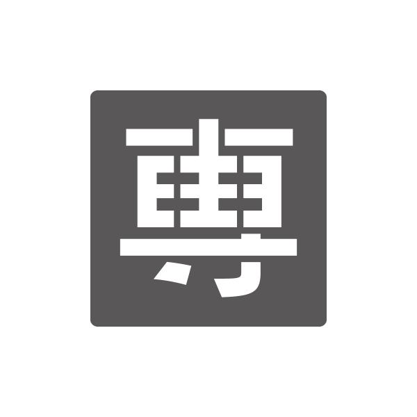 吹付けプレート　駐車場用文字　専　Lサイズ　文字高300mm　1枚　亜鉛鉄板0.6mm