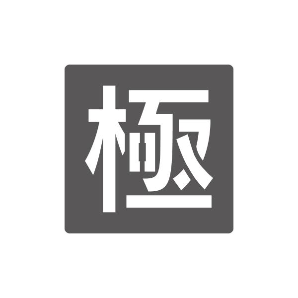 吹付けプレート　駐車場用文字　極　Lサイズ　文字高300mm　1枚　亜鉛鉄板0.6mm