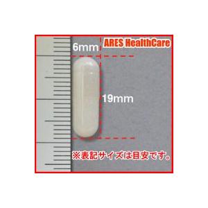 クエン酸カプセル(60日分)【メール便(ゆうパ...の詳細画像1