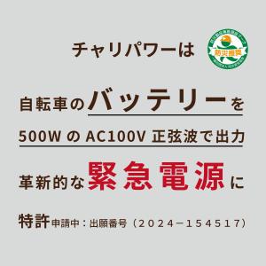 Cancamper(キャンキャンパー) インバ...の詳細画像2