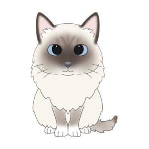 ラグドールステッカー 猫 ステッカー シール グッズ