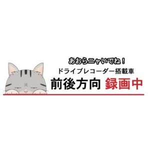 ドラレコ猫ステッカー メインクーン 猫 ステッカー シール