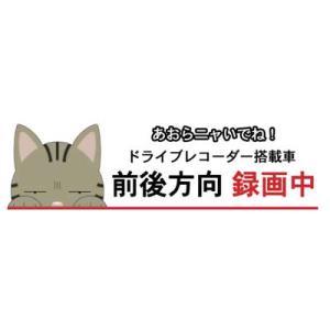 ドラレコ猫ステッカー キジ猫 猫 ステッカー シール