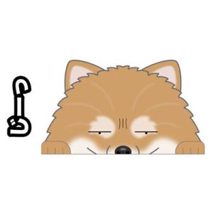 ポメラニアンシールの商品一覧 通販 Yahoo ショッピング