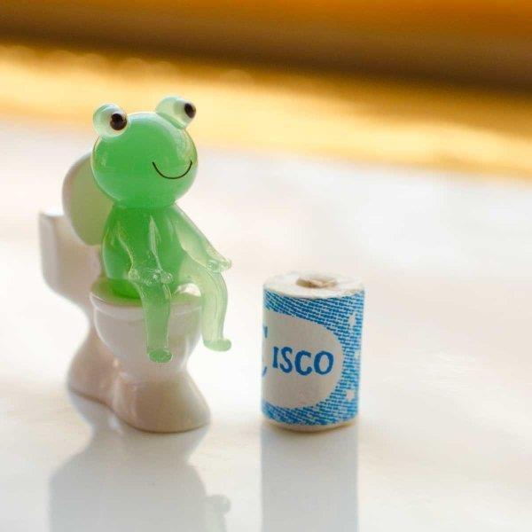 カエルとsトイレットペーパー