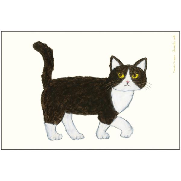 米津祐介 ポストカード ハチワレねこ / 猫 ネコ イラスト はがき 絵本作家