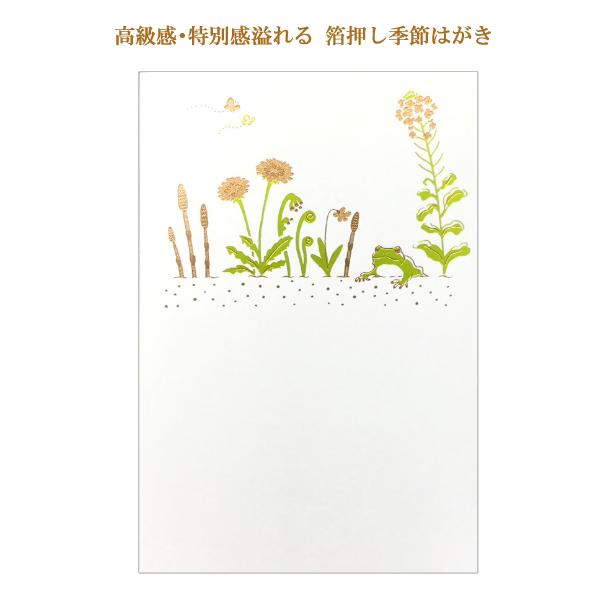 こよみはがき 3月 カエル / 箔押し ポストカード 春柄 郵便はがき フタバ