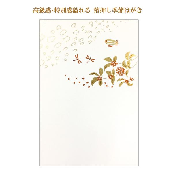 こよみはがき 9月 秋の空 / トンボ 箔押し 秋柄 郵便はがき フタバ