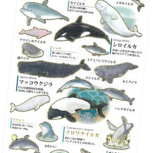 大人の図鑑シール イルカ・クジラ / 海洋生物 金箔押し加工 カミオジャパン 手帳 デコ｜ありしろ雑貨店Yahoo!店