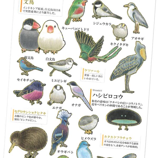 大人の図鑑シール 鳥 / 野鳥 金箔押し加工 カミオジャパン 手帳 デコ