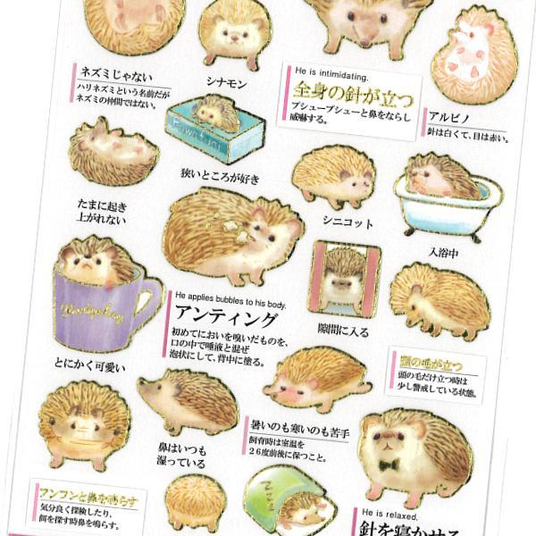 大人の図鑑シール ハリネズミの観察記録 / ハリネズミ 金箔押し加工 カミオジャパン 手帳 デコ