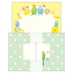 セキセイインコ ミニレター Beaux Oiseaux / インコ 可愛い レターセット オリエンタルベリー