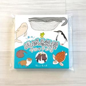 アニマル スクエアメモ パンダ 4柄 100枚入 / ワールド商事 四角い