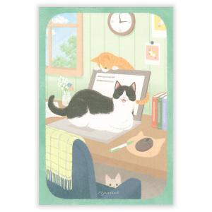 エヌビー社 にゃんとも ポストカード はなにわ / サバトラ 茶トラ 猫