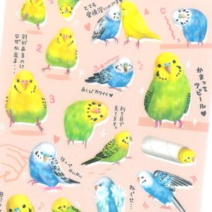 セキセイインコ 文具 ステーショナリー の商品一覧 キッチン 日用品 文具 通販 Yahoo ショッピング