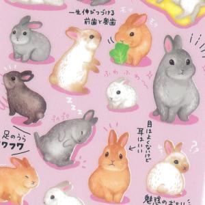 ぼくたちミニマムズ シール ウサギ うさぎ 小動物 イラスト 可愛い マインドウェイブ Mindwave 最安値 価格比較 Yahoo ショッピング 口コミ 評判からも探せる