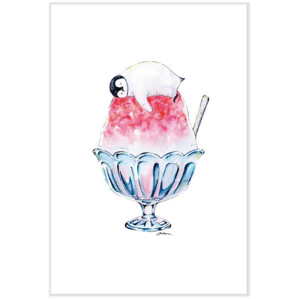 夏柄 ポストカード ひんやりペンギン / 可愛い ペンギン イラスト はがき オトン