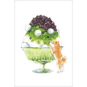 しばいぬとおいしい夏 ポストカード 宇治金時 / かき氷