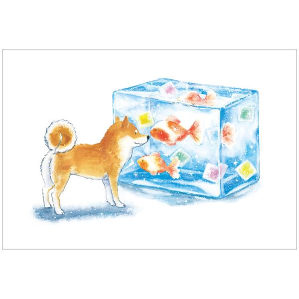 しばいぬとおいしい夏 ポストカード 金魚菓子 / 暑中見舞い 可愛い 柴犬 夏柄 村田なつか はがき