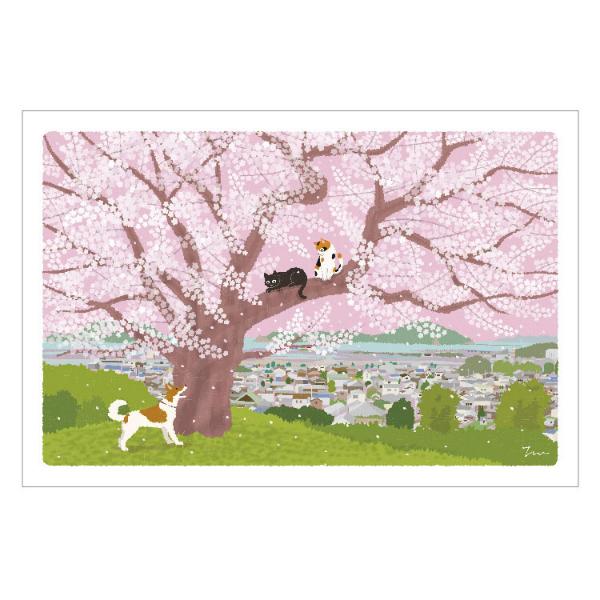 たびねこ 春柄 ポストカード 丘の上の桜 / サクラ 可愛い 猫 ネコ 四季 風景 はがき もりとし...