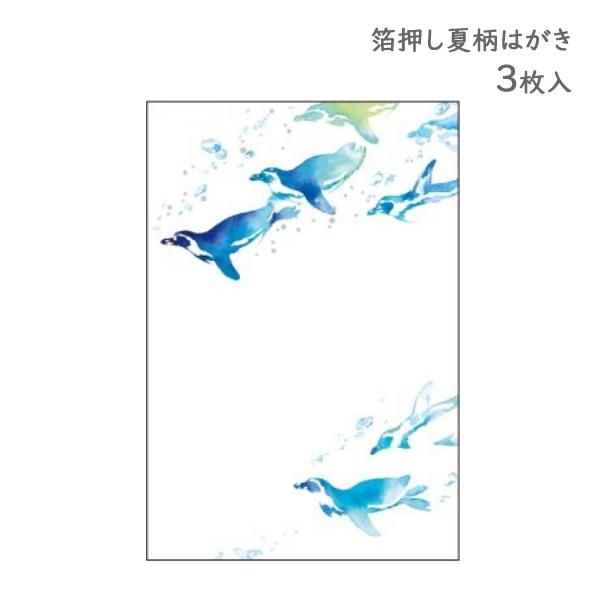 夏はがき ペンギン 3枚入 / 暑中見舞い 箔押し 夏柄 ポストカード  郵便はがき