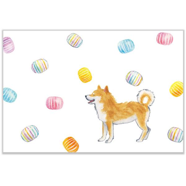 しばいぬとおやつ ポストカード 柴犬とてまり飴 / 可愛い 柴犬 和柄 アメ 村田なつか
