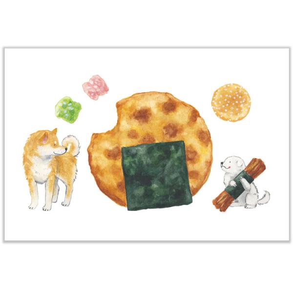 しばいぬとおやつ ポストカード 柴犬とお煎餅 / 可愛い 柴犬 スイーツ 村田なつか